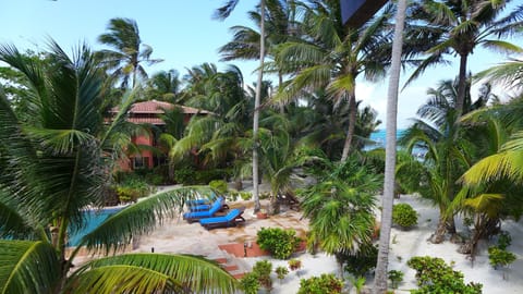 Welcome to Calm Caye