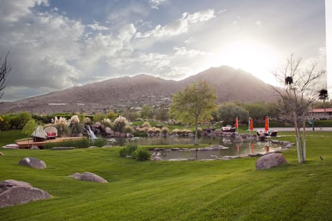 The backyard below Camelback mtn