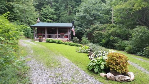 Front  view