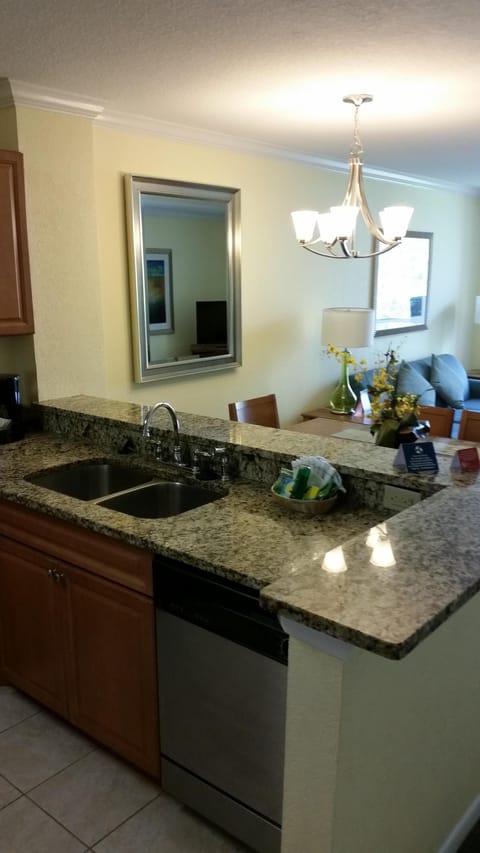 Kitchen sink and dish washer