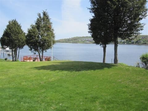 View from screened-in porch