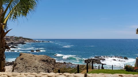 View from Patio Lounge Chairs