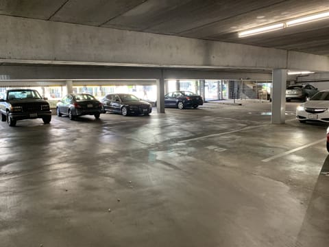 1 stall in lower cover parking garage