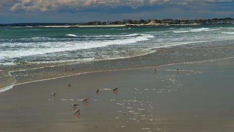 A short walk to this magnificent beach
