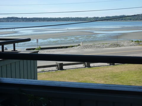 Beach is literally right across the street. Tide is out in this pic.


