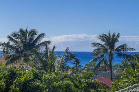 Your view from the upstairs lanai