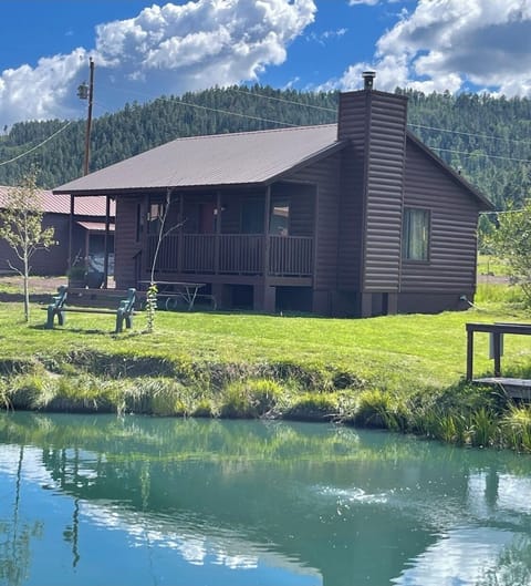 Private trout stocked pond on 1 acre/on Main Street.  Shared with 1 other cabin.