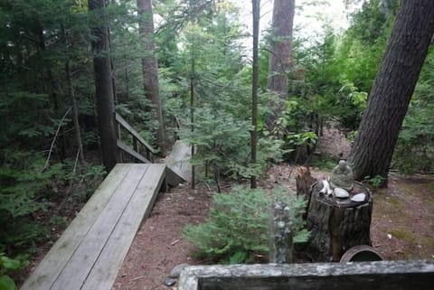 The walkway to the beach. It's a minute to Lake Michigan. (See video)