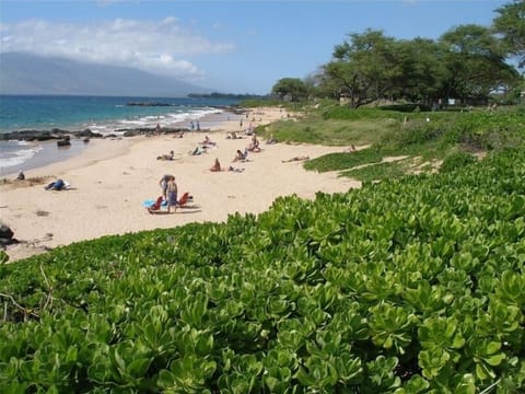 Kamaole III Beach