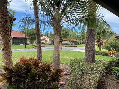 This is the sunny view out the front of the villa. 