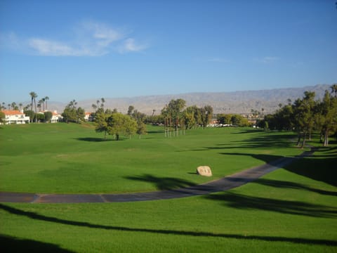 view from patio
