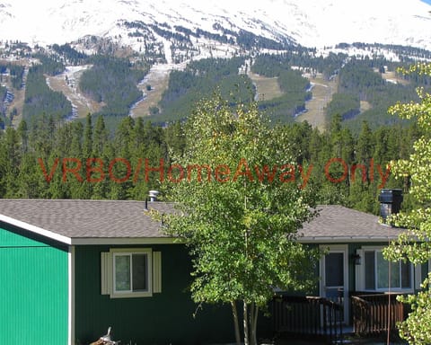 Ski Area Backdrop