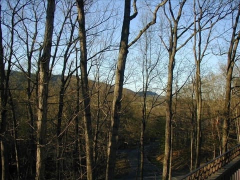 View from one of four decks