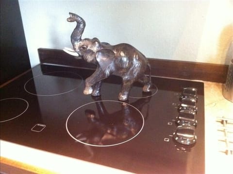 He doesn't eat much!