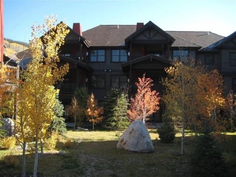 The backyard at The Cache