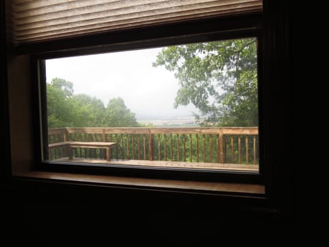 view from lower level bedroom