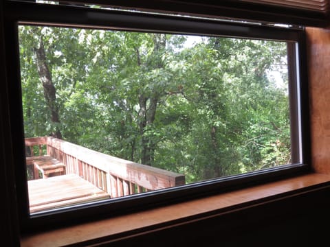 another view from lower level