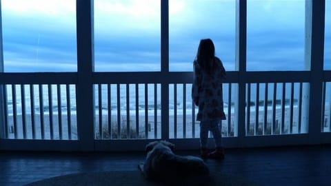 Covered porch is perfect for everyone; adults, kids and fur-babies!