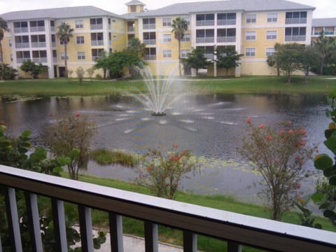 View from the patio.