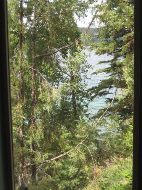 View from Living Room