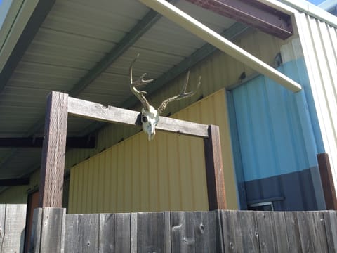 A welcoming deer, found on our property.