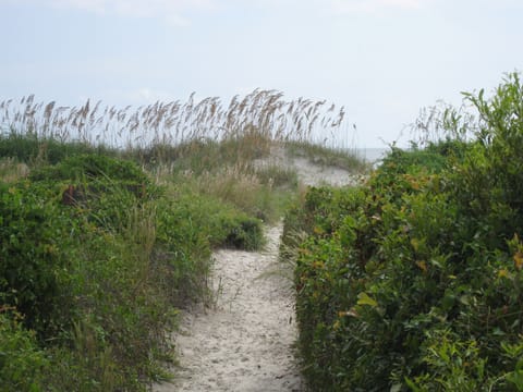 Dunes in front of the Hilton Head Beach Villas property