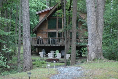 A view from the lake.
