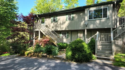 Cool shade and mountain breezes