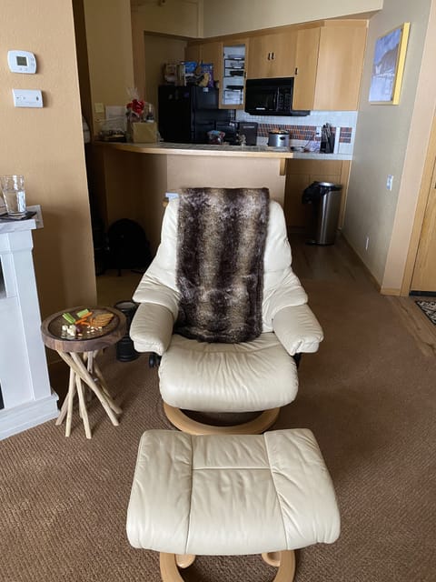 Yup an Eckhorn chair that you won't want to leave after a day on the slopes.