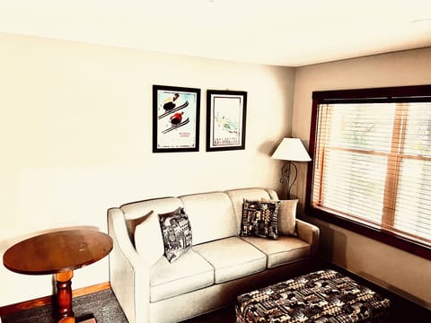 New in 2024 Queen sleeper sofa and storage ottoman.