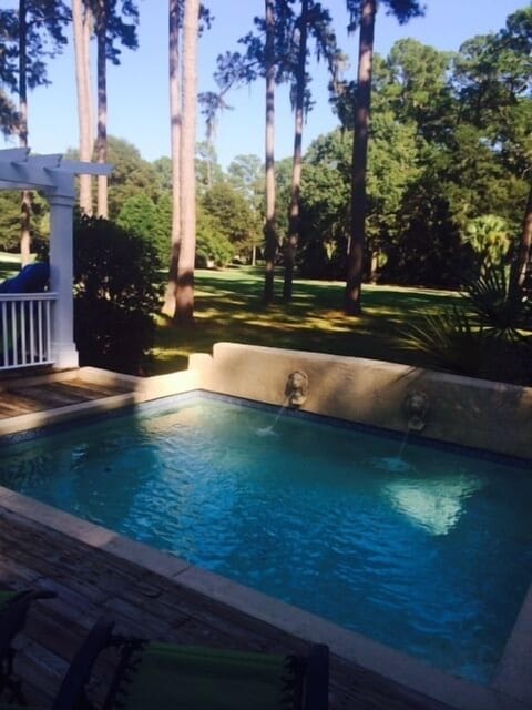 Our pool with Lion Heads