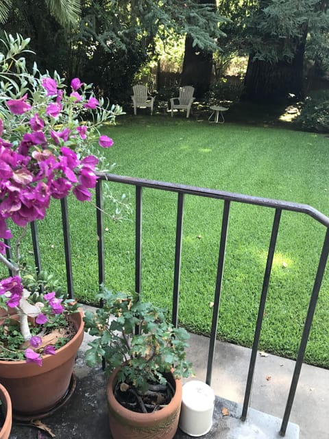 Quiet backyard all to yourself!