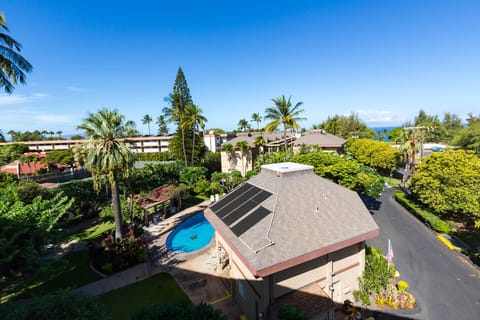 View of pool and lounge/BBQ area from our lanai.