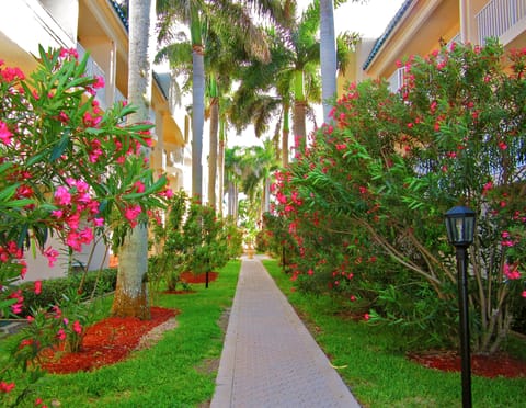 Courtyard outside condo