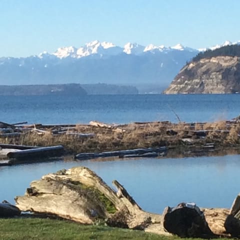 Amazing view of The Olympics and shipping channel