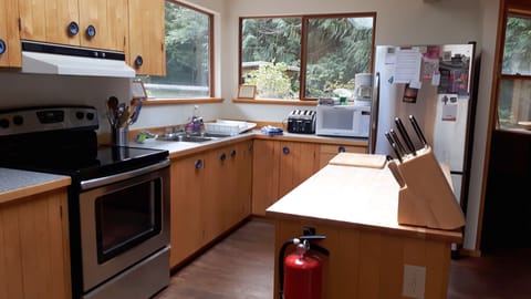 Kitchen with views to rear garden area