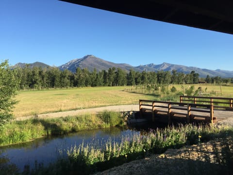 your view from the Guest House back porch.
