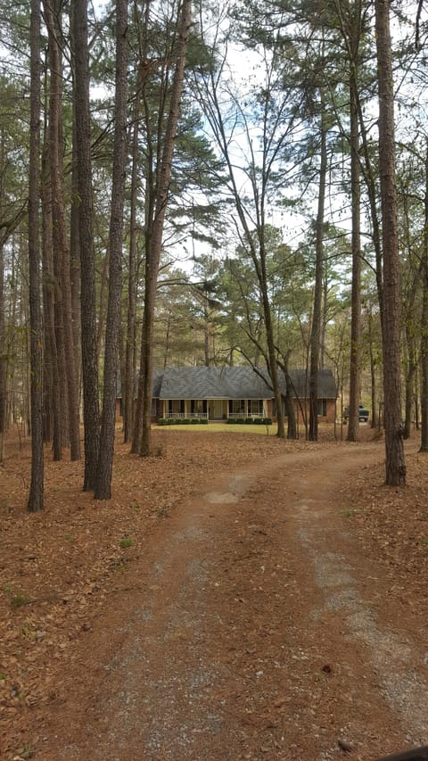 Path leading to the house