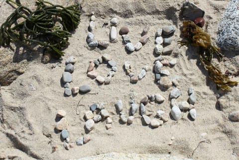 Beach Creations