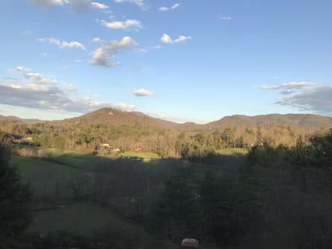 View from patio