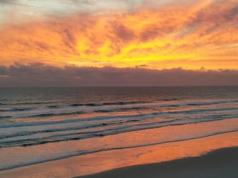 Direct oceanfront for beautiful views of the beach