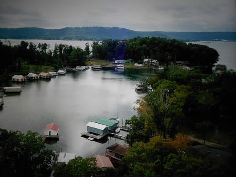 Aerial photo above Honeysuckle Dreams cabin driveway.  Eagles are often seen.