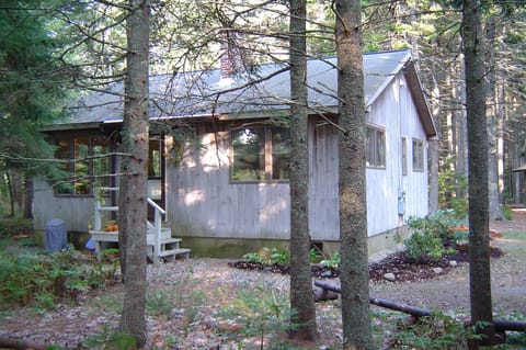 An image from a few years ago before the plants matured.