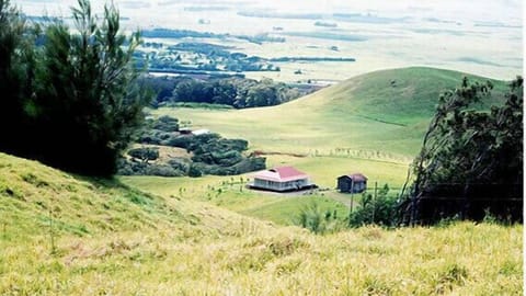 Aerial view of house and storage shed