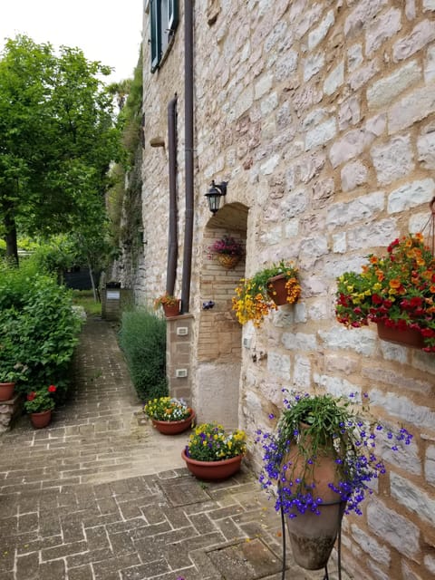 Garden path