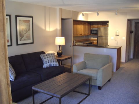 Living room seating area with brand new hide a bed.