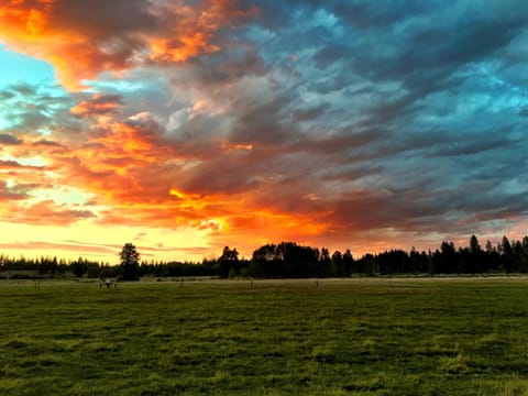 Silverbow Ranch