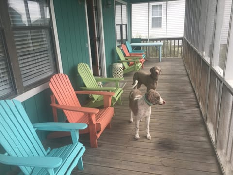 Six Adirondack chairs for relaxing and watching the sunset. 