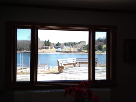 view from dining room window