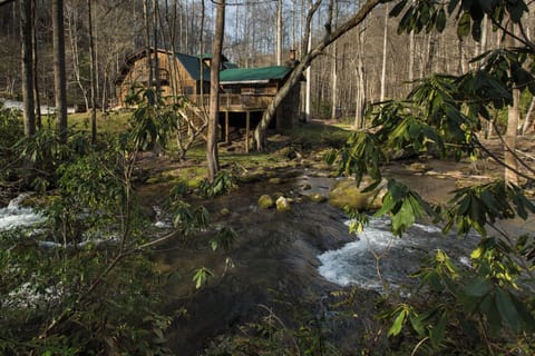 View from across the creek